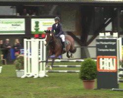 jumper Cilege (KWPN (Royal Dutch Sporthorse), 2007, from Namelus R)