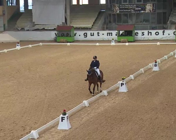 Reitturnier Kreuth 2020