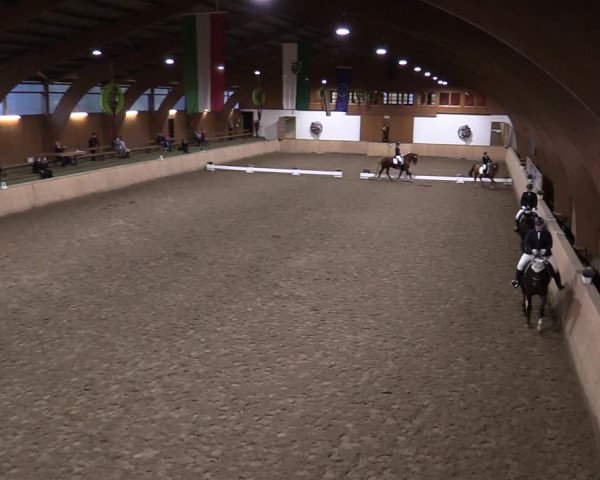 Reitturnier Hövelhof 2020