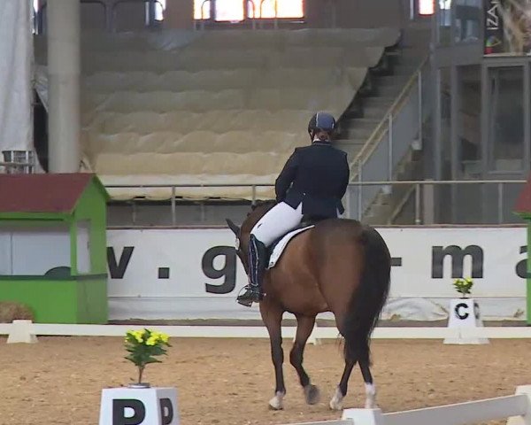 Reitturnier Kreuth 2020