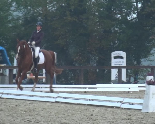 Reitturnier Lindlar-Falkenhof 2020