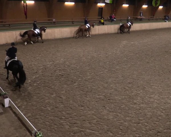 Reitturnier Hövelhof 2020