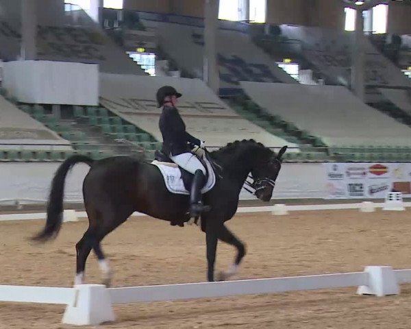 Reitturnier Kreuth 2020