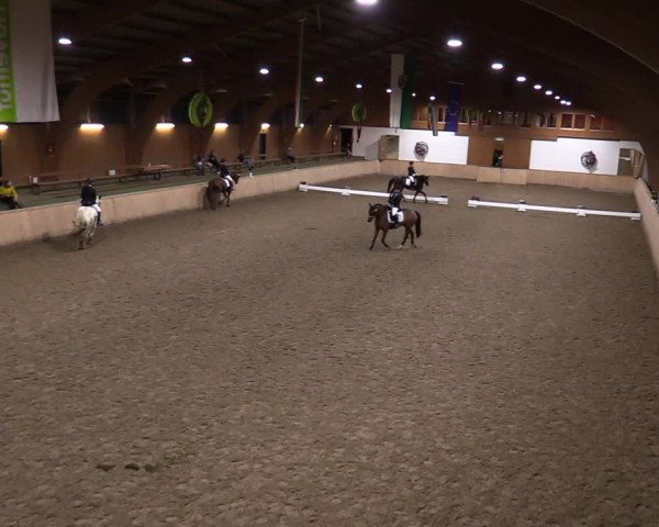Reitturnier Hövelhof 2020