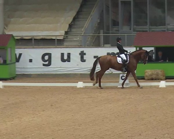 Reitturnier Kreuth 2020