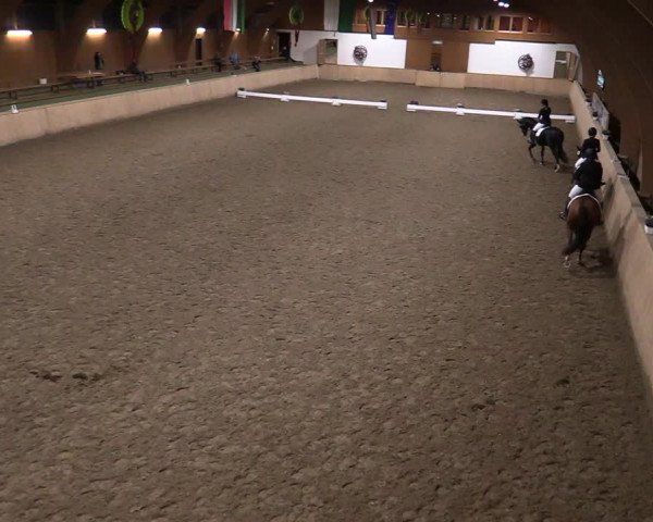 Reitturnier Hövelhof 2020