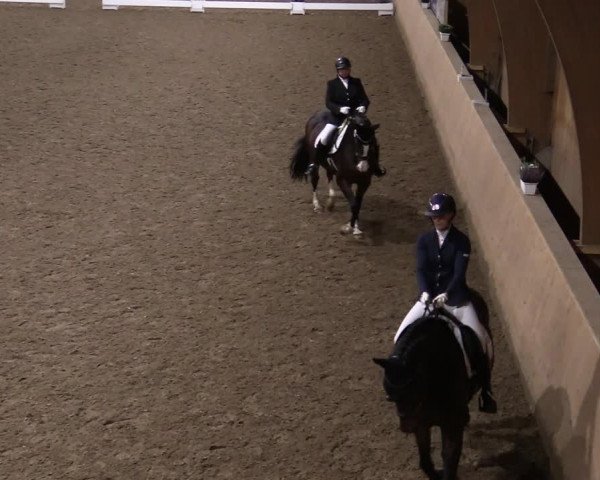 Reitturnier Hövelhof 2020