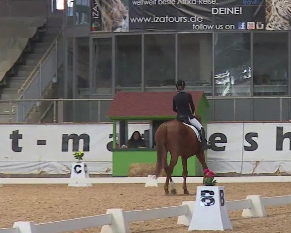 Reitturnier Kreuth 2020