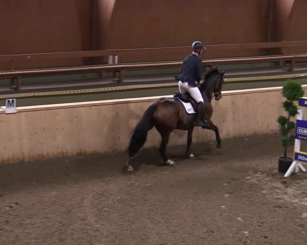 Reitturnier Hövelhof 2020