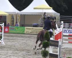 horse Lillen (unknown, 2007)