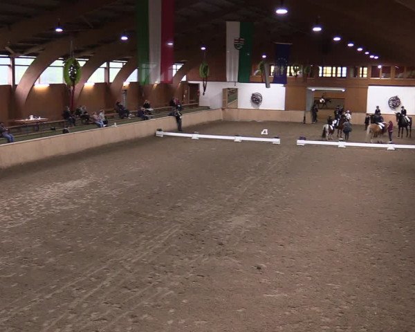 Reitturnier Hövelhof 2020