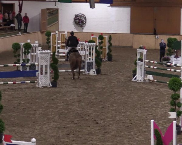 Reitturnier Hövelhof 2020