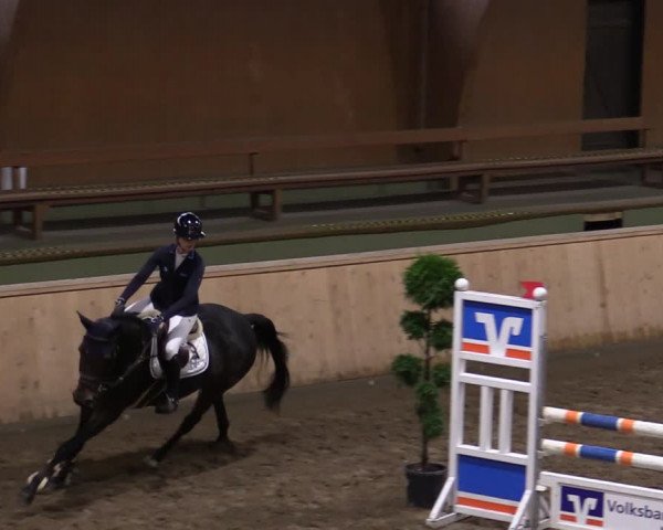 Reitturnier Hövelhof 2020