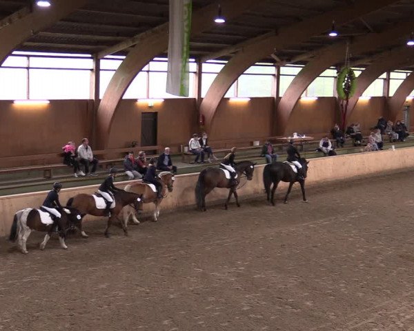Reitturnier Hövelhof 2020