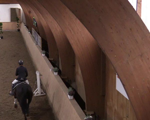 Reitturnier Hövelhof 2020