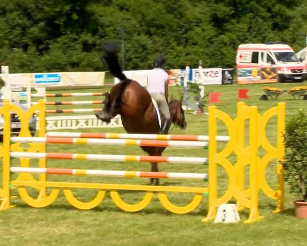 jumper Call Me Cera (Westphalian, 2008, from Call Me Number One)