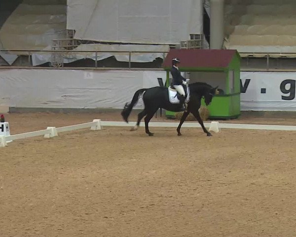 Reitturnier Kreuth 2020
