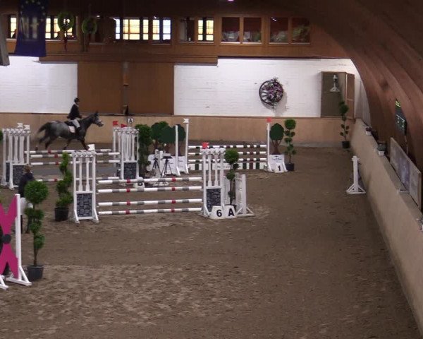 Reitturnier Hövelhof 2020