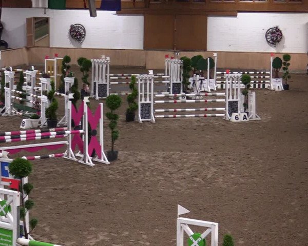 Reitturnier Hövelhof 2020