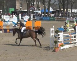 jumper Cleo FAP (Westphalian, 2009, from Christiano)