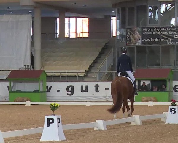 Reitturnier Kreuth 2020