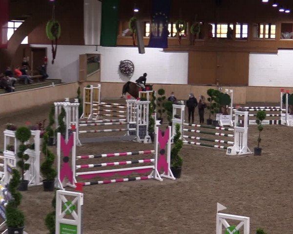 Reitturnier Hövelhof 2020