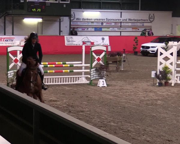 Reitturnier Salzkotten 2020