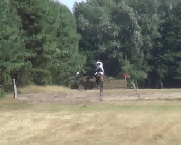 Dressurpferd Lefuria (Schwedisches Warmblut, 2001, von Leuthen I)