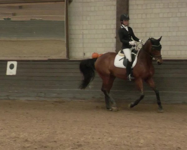 Reitturnier Heilbronn 2020