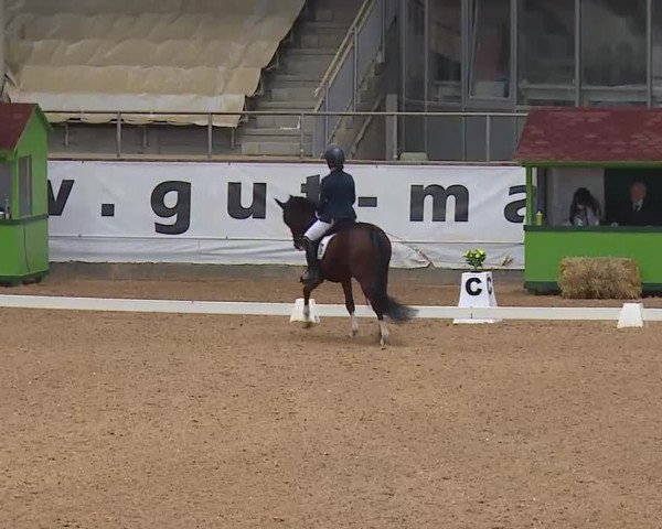 Reitturnier Kreuth 2020