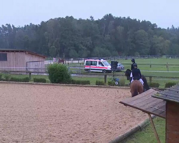 Reitturnier Brünst/Mfr. 2020