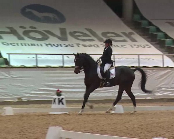 Reitturnier Kreuth 2020