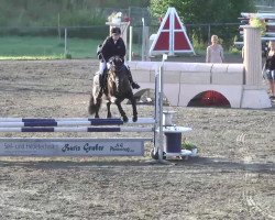 jumper Rosalie 152 (Württemberger, 2005, from Rubicell)
