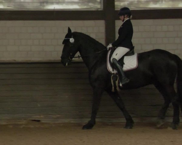 Reitturnier Heilbronn 2020