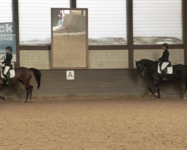 Reitturnier Heilbronn 2020
