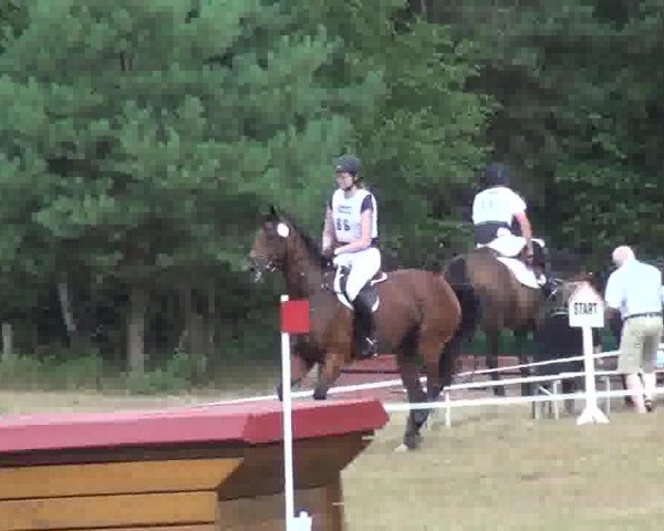 jumper Windspiel V (Holsteiner, 2006, from Esteban xx)