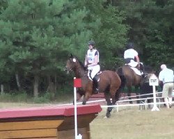 jumper Windspiel V (Holsteiner, 2006, from Esteban xx)