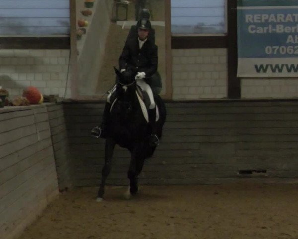 Reitturnier Heilbronn 2020