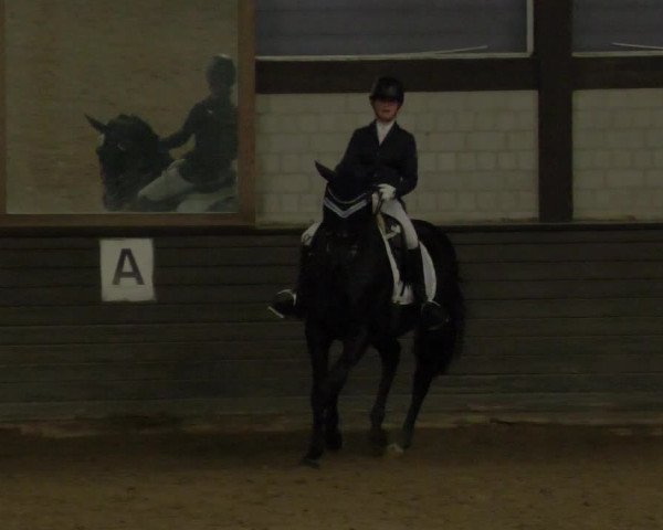 Reitturnier Heilbronn 2020