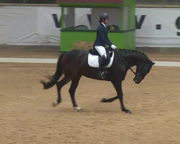 Reitturnier Kreuth 2020