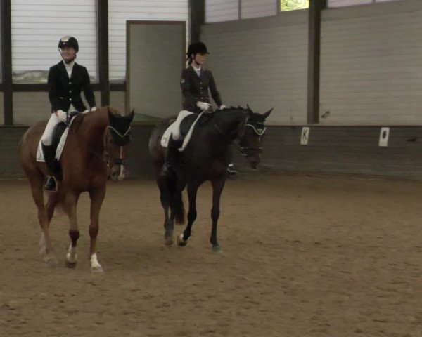 Reitturnier Heilbronn 2020