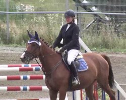 jumper Naomi 374 (unknown, 2007)