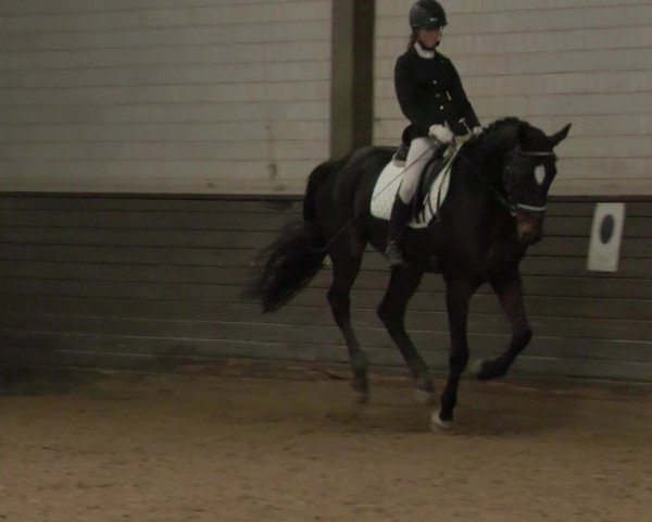Reitturnier Heilbronn 2020
