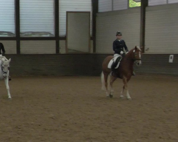 Reitturnier Heilbronn 2020
