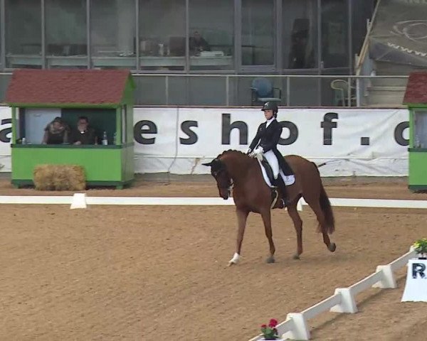 Reitturnier Kreuth 2020