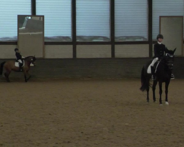 Reitturnier Heilbronn 2020