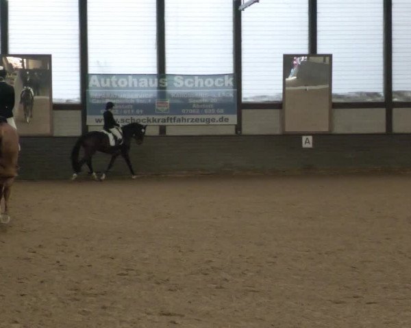 Reitturnier Heilbronn 2020