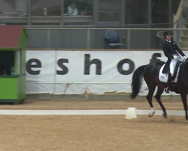 Reitturnier Kreuth 2020