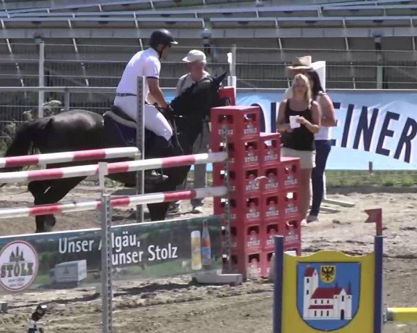 jumper In Gamba (KWPN (Royal Dutch Sporthorse), 2005, from Startrek)