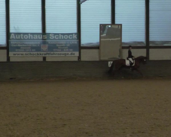 Reitturnier Heilbronn 2020